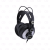 Soundking EJ890